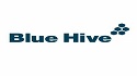Blue Hive.jpg